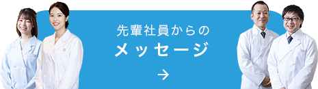 先輩社員からのメッセージ