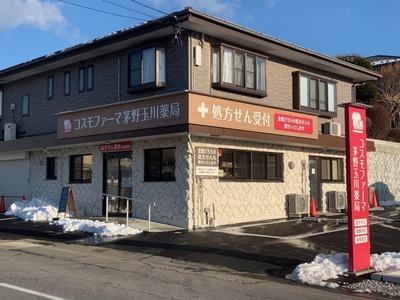 コスモファーマ茅野玉川薬局の外観